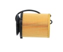Filtr oleju Purflux L976 Infiniti Q30 QX30 Q50 Q60 Mercedes A- B- C-Klaase CLA, CLS E-Klasse GLA GLC GLK SLC SLK V-Klasse Vito