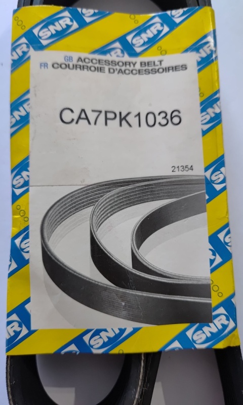 Pasek klinowy wielorowkowy SNR BMW 7 8 Dacia Sandero Logan Renault Clio Logan Modus Twingo Wind 1994-2015 CA 7PK1036